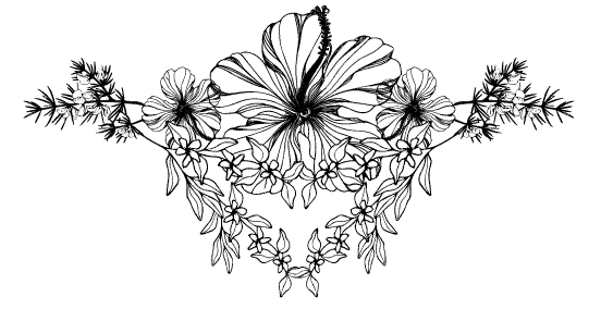 Kaapse Khoi_Buchu Blend_Hibiscus
